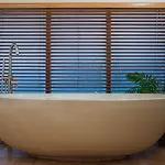 The Lazy Fish קוקרמאות'