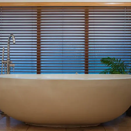 The Lazy Fish 科克茅斯