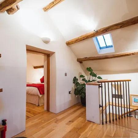 度假居 The Lazy Fish *